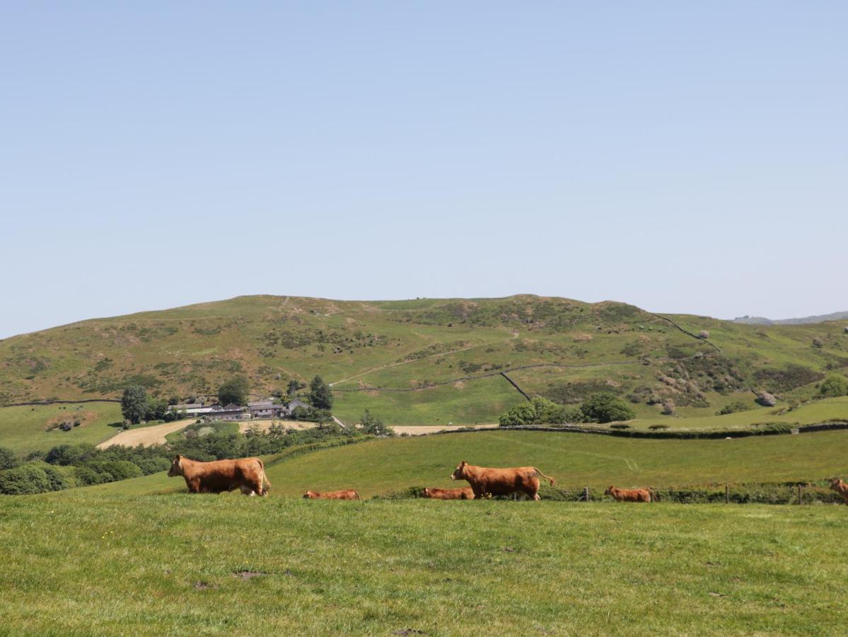 Cherry Ulverston Dış mekan fotoğraf